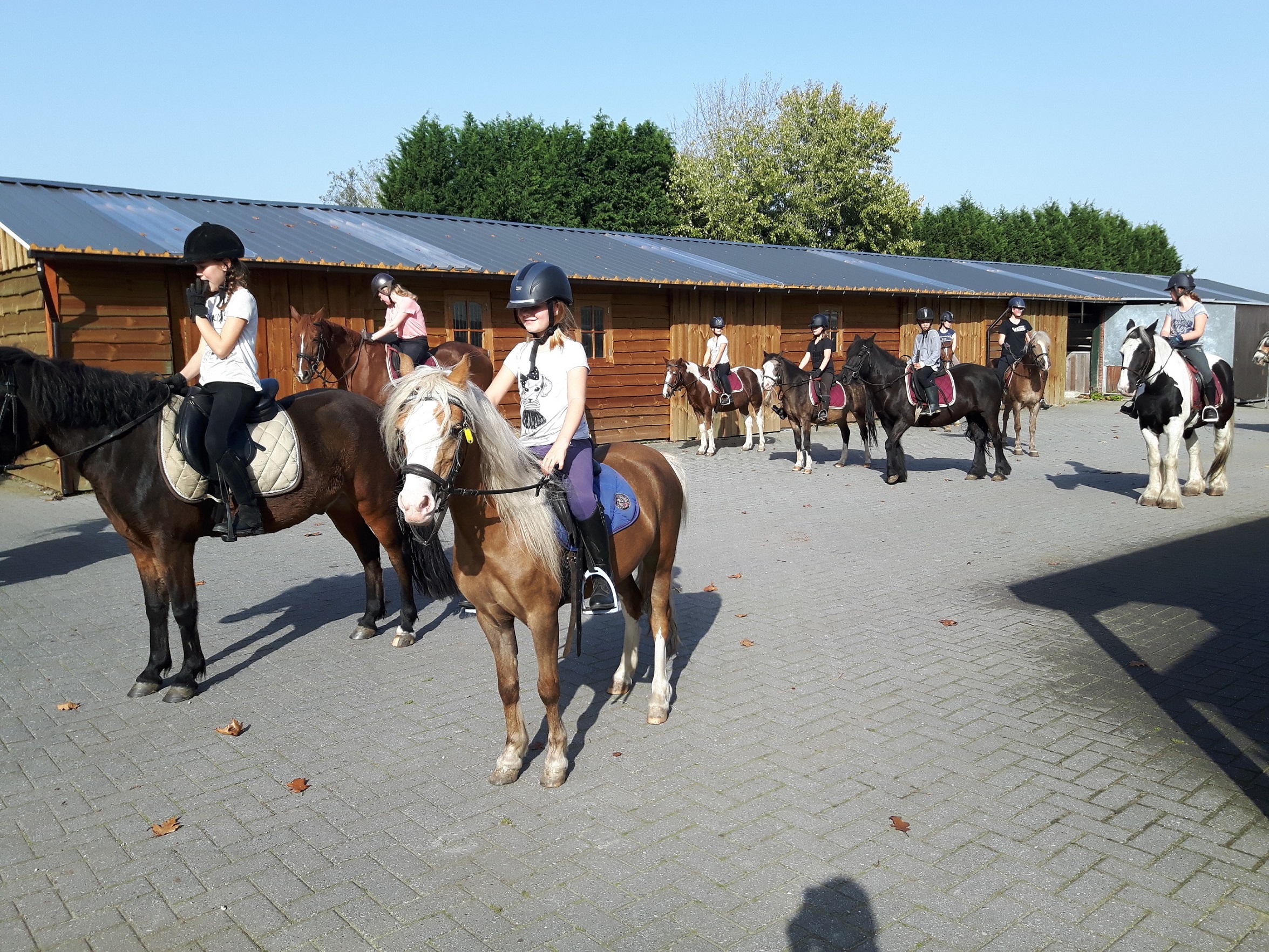 Paardrijden Manege Het Hoefke